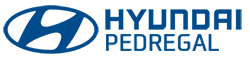 Hyundai Pedregal